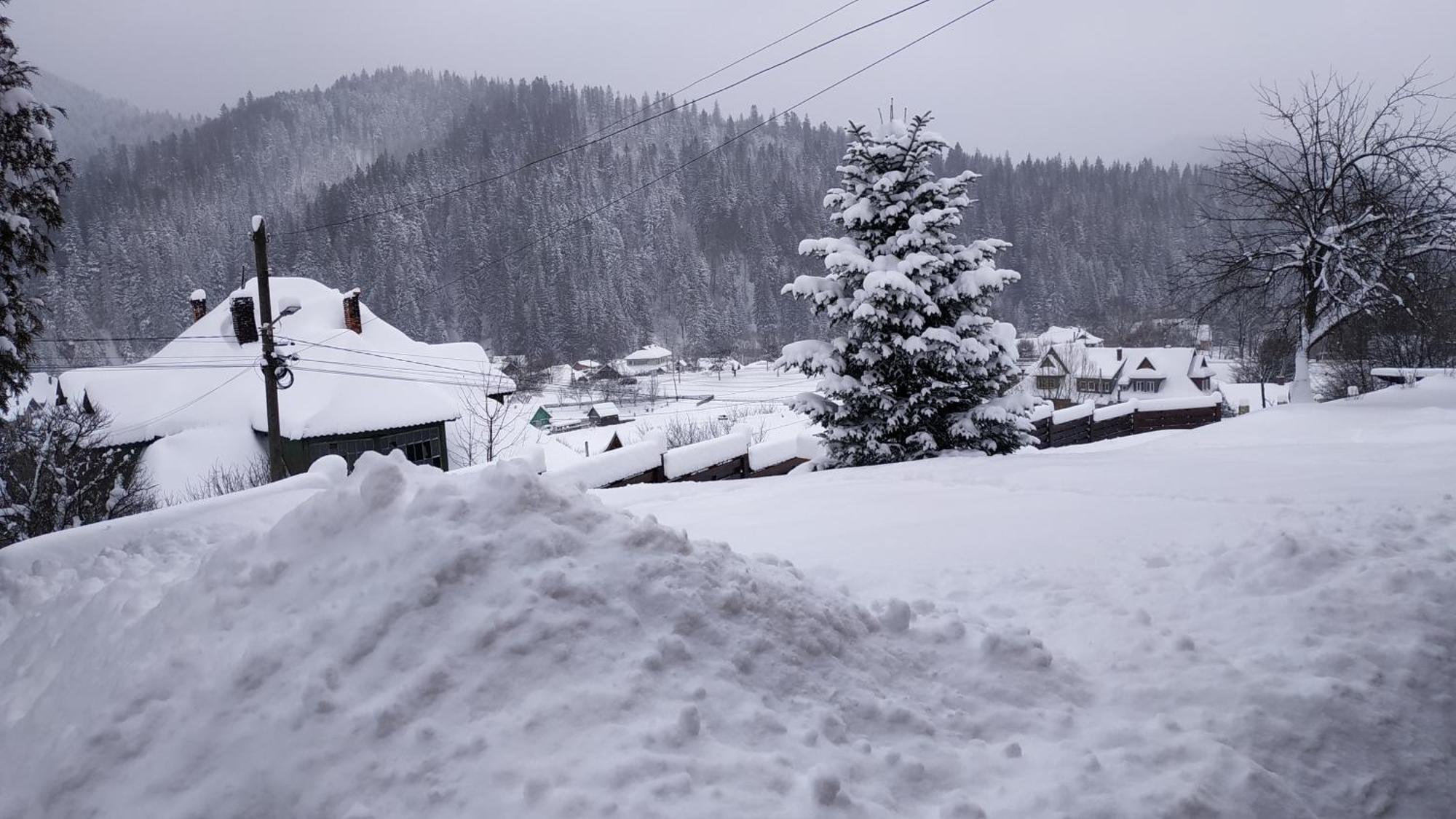Sadyba Chertizh Tatariv Exteriér fotografie