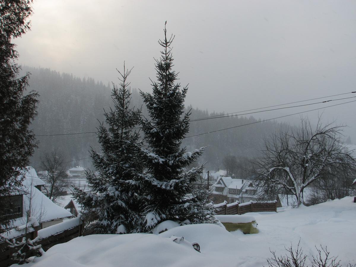 Sadyba Chertizh Tatariv Exteriér fotografie
